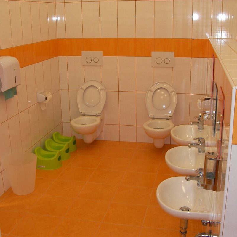 Školička a jesle Vltaváček