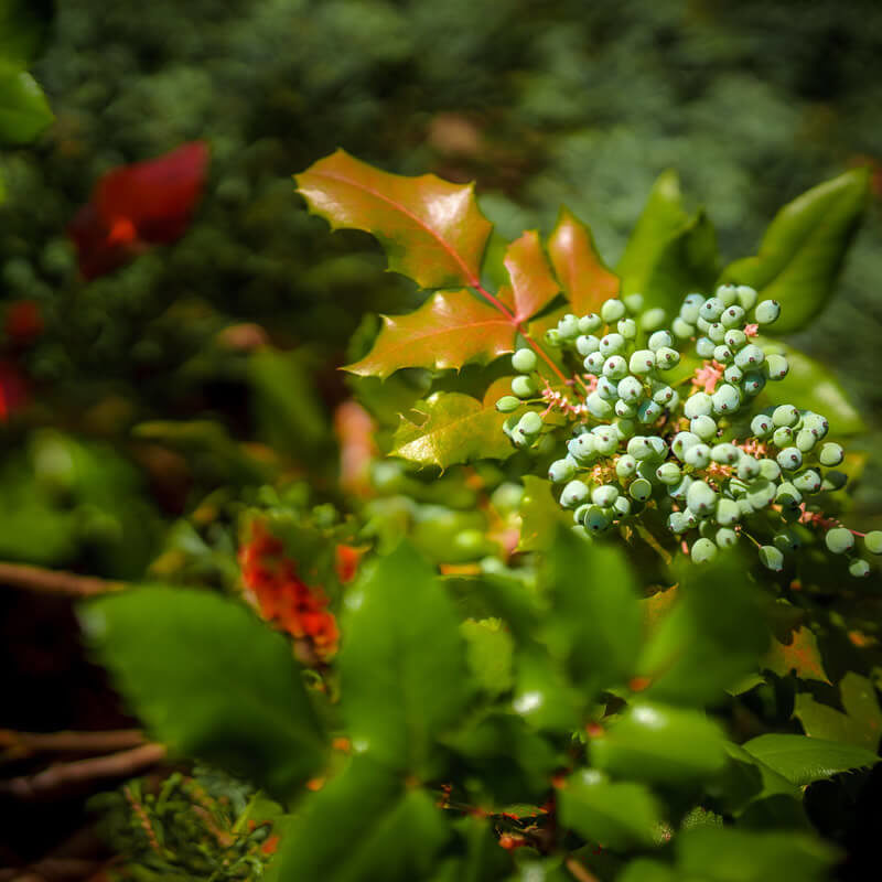 Soukromé jesle Malvína Praha Karlín