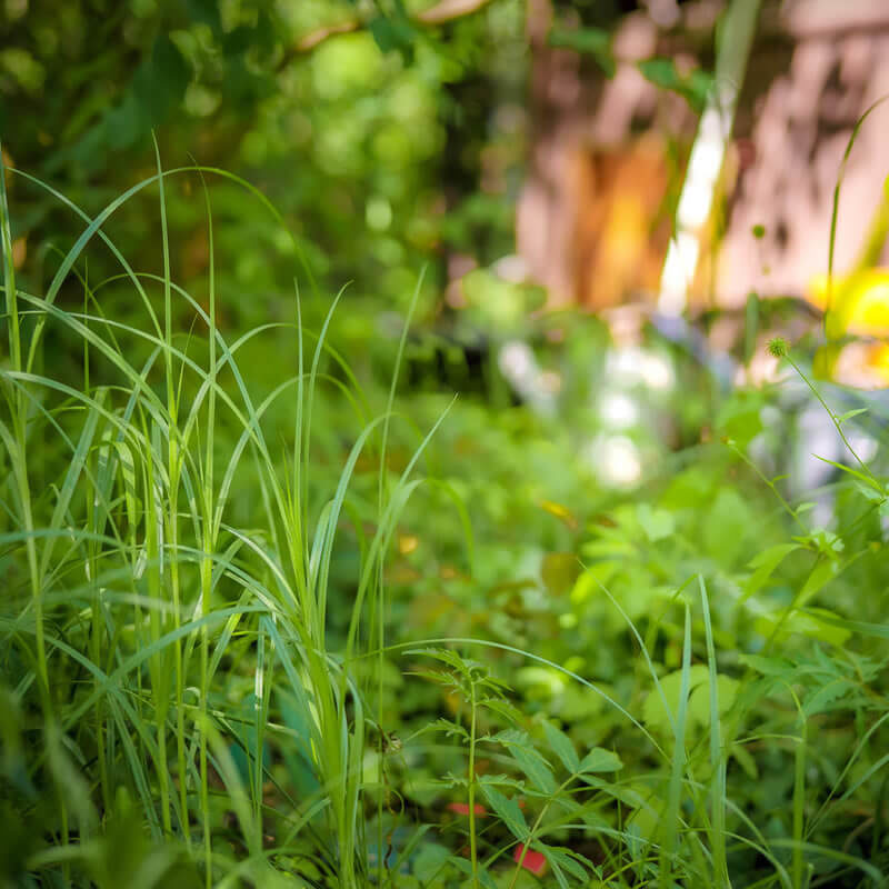 Soukromé jesle Malvína Praha Karlín