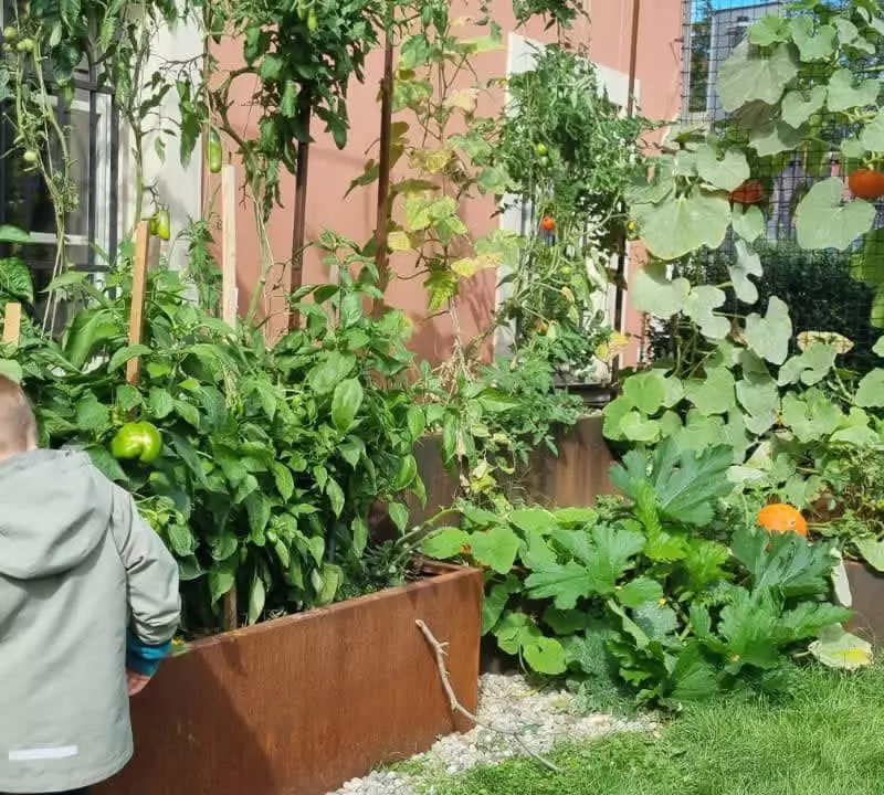 Základní a Mateřská škola Indigo | Soukromá česko-anglická školka